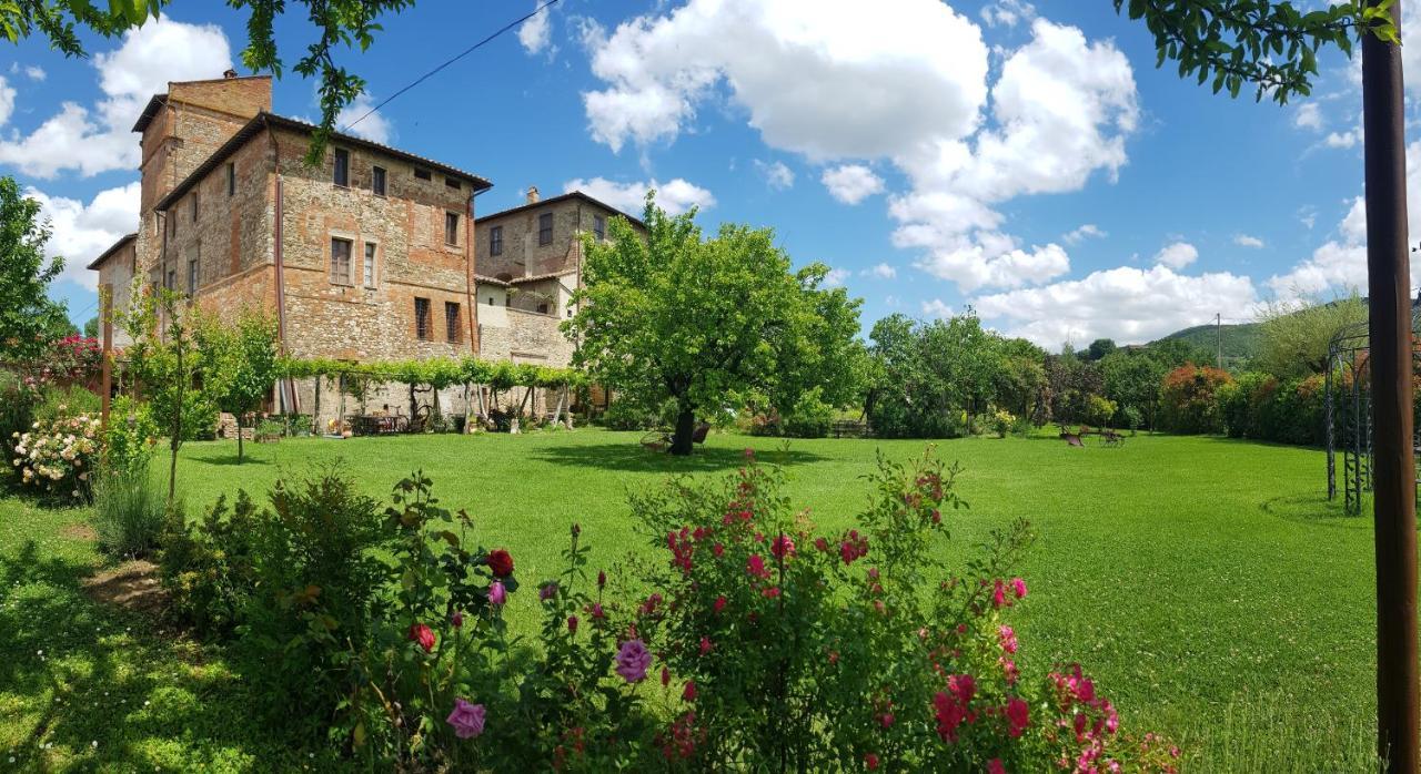 Agriturismo Abbazia Sette Frati A Casa Di Sara Villa Pietrafitta  Exterior photo