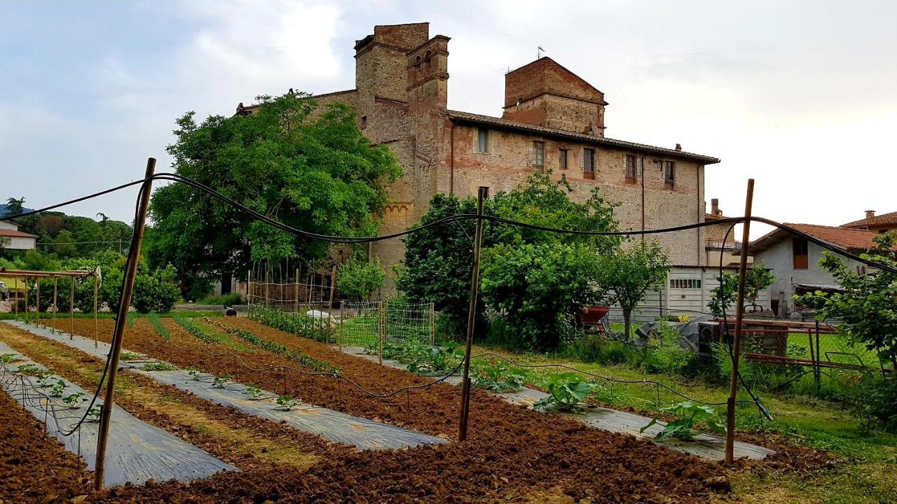 Agriturismo Abbazia Sette Frati A Casa Di Sara Villa Pietrafitta  Exterior photo