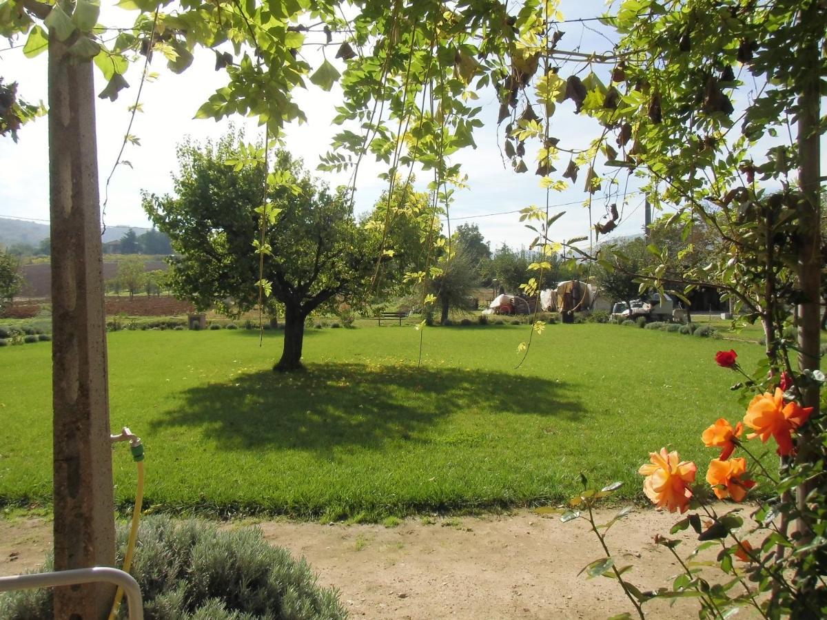 Agriturismo Abbazia Sette Frati A Casa Di Sara Villa Pietrafitta  Exterior photo